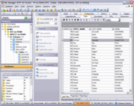 EMS SQL Manager 2007 for Oracle screenshot